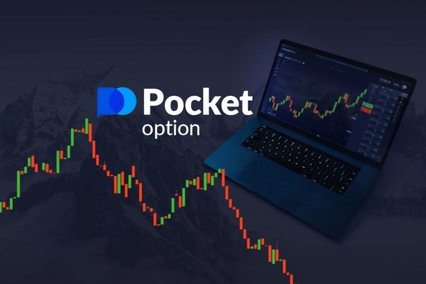 Comprehensive Guide to Telegram Pocket Option